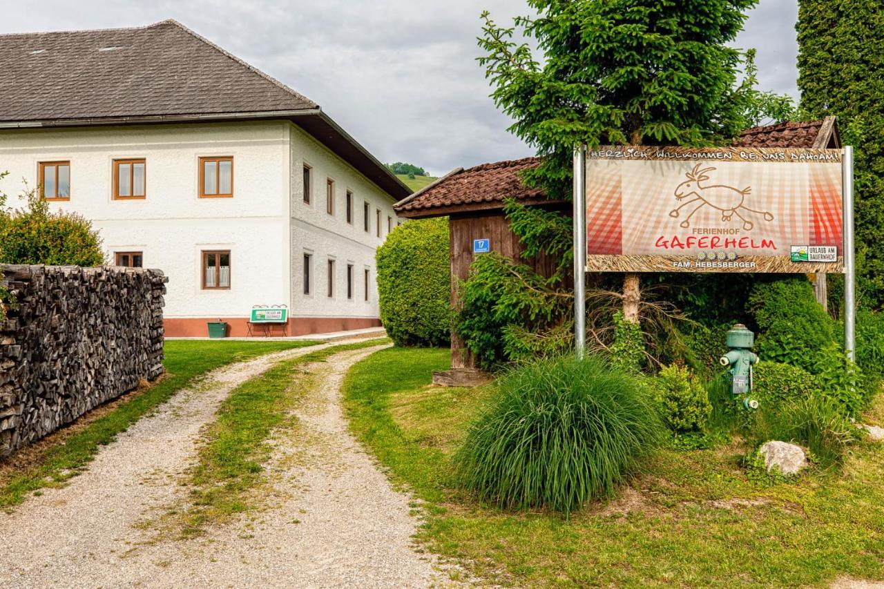 Апартаменты Auszeit Am Ziegenhof Nur Fuer Erwachsene Schlierbach Экстерьер фото